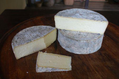 tomme zdjecie 03